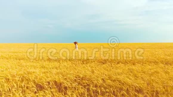 夏天的晴天戴草帽的女孩在麦田里散步视频的预览图