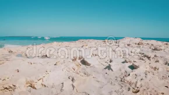 佛门泰拉海滩夏日视频的预览图