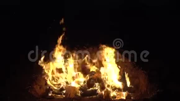 篝火在黑暗中燃烧视频的预览图