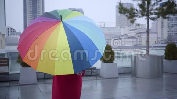 年轻快乐的白种人女人穿着红色外套站在城市街道上雨下着多种颜色的雨伞可爱的女孩视频的预览图