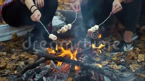 秋天森林里女游客在篝火旁烤棉花糖视频的预览图