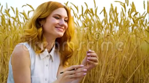 快乐的红头发女孩夏天在田里玩麦穗视频的预览图