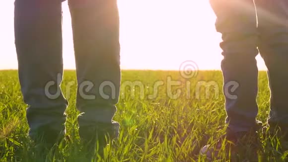 日落时一对母子在绿草上散步双腿合拢幸福家庭旅游健康的理念视频的预览图