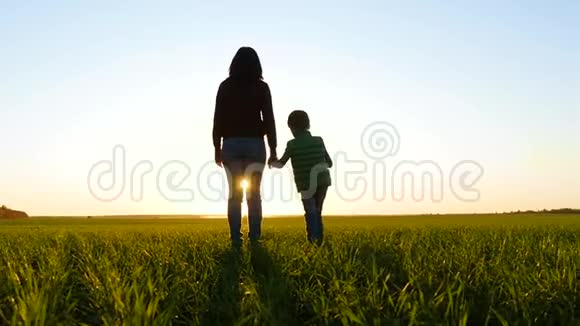 家庭幸福日落时分一位母亲牵着孩子的手跑过一片绿色的田野旅游生活方式健康视频的预览图