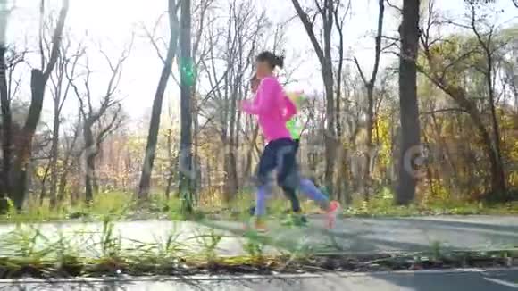 早上在秋公园慢跑的几个运动员视频的预览图