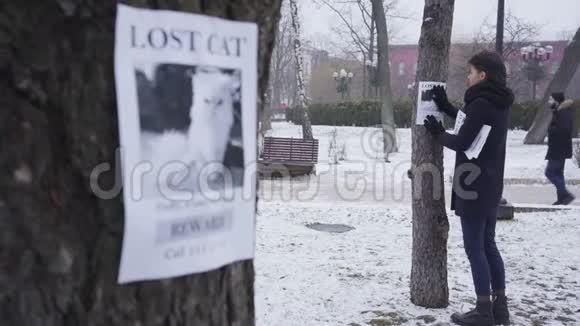 焦点变化从年轻的白种人女人在树的背景上悬挂丢失的宠物广告到在一个公告视频的预览图