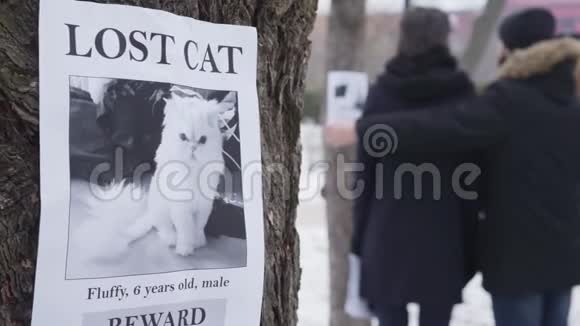 当两个模糊的高加索人在后台拥抱时丢失的猫广告挂在树上的特写家庭调查视频的预览图