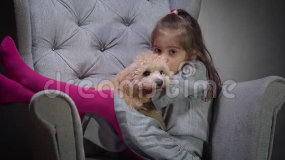 可爱的女孩正在椅子上和一只小狗玩耍视频的预览图