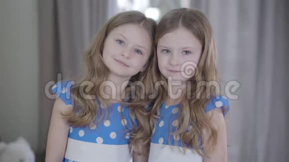 镜头接近友好的双胞胎姐妹看着镜头有灰色眼睛和波浪的浅黑色小女孩的肖像视频的预览图