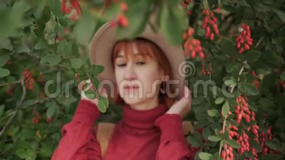 一个年轻迷人的红发女孩一头短发戴着帽子在一个自然公园里穿着一件兵马俑毛衣视频的预览图