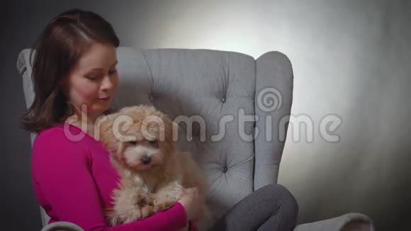 美女在椅子上玩小狗视频的预览图