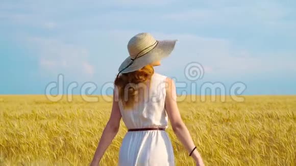 穿着轻便衣服戴着草帽在收获季节的麦田里散步的快乐女孩视频的预览图