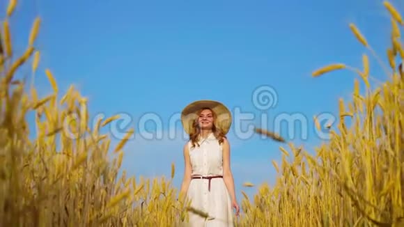 快乐的红发女孩走在收获季节的麦穗之间视频的预览图
