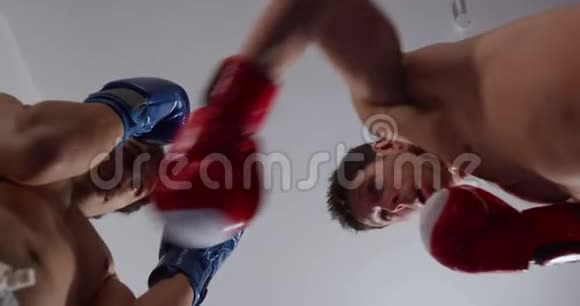 两个白种人拳击场视频的预览图