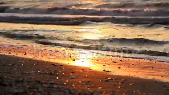 日出或日落时平静的大海和海岸视频的预览图