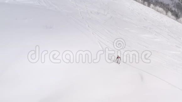 滑雪者骑着免费的滑雪板在粉末新鲜的雪坡上冬季森林景观空中观景滑雪者乘坐视频的预览图