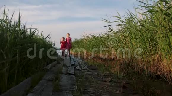 两个可爱的小女孩走在古老的木墩上穿过湖边的绿草视频的预览图