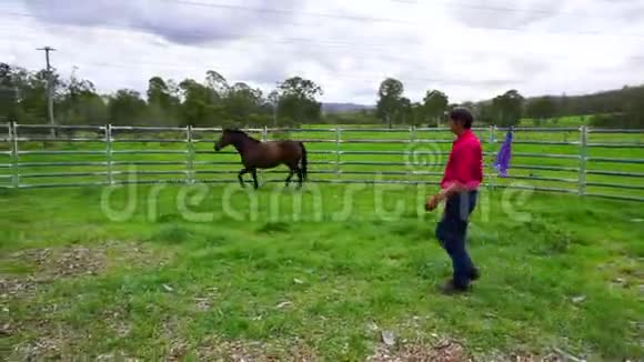 持旗的驯马师积极在圆场训练马匹宽射视频的预览图