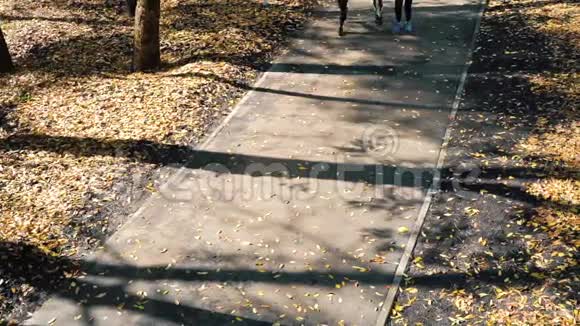 快乐的女孩在公共公园晨曦中慢跑视频的预览图