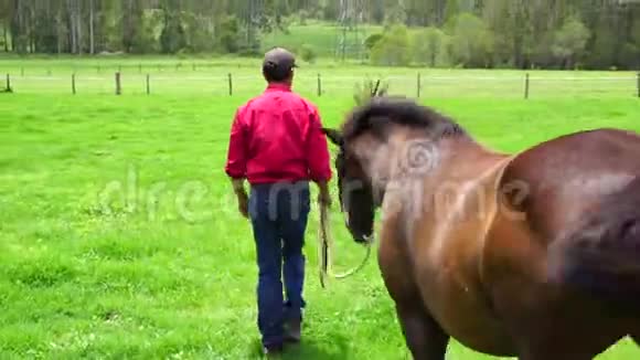 男子带领马穿过郁郁葱葱的绿色围场跟随中射视频的预览图