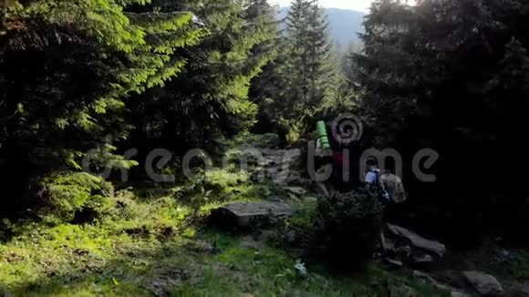 三个徒步旅行者在穿过山林的小路上视频的预览图