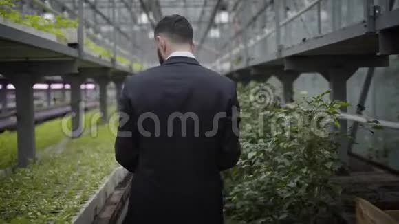 镜头跟随年轻的白种人穿着西装与温室里的植物一排排地走着专业审计员视频的预览图