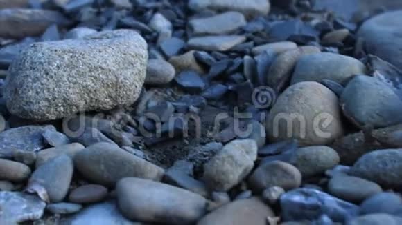 河岸上的特写石头视频的预览图