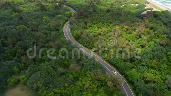 在美丽的绿色森林和海岸A的空中道路景观视频的预览图