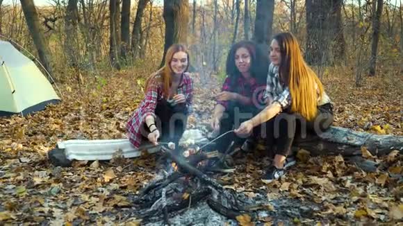 小女孩野营时在火上烤棉花糖视频的预览图