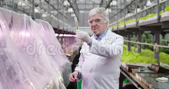 白袍白袍老人站在温室里拿着带植物叶子的试管的画像视频的预览图