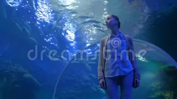 在海洋馆大型公共鱼缸里看鱼涡的女人视频的预览图