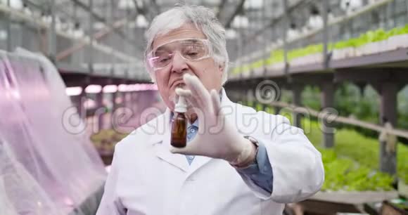 成熟男性白种人科学家用肥料检查小瓶子的特写照片穿白色长袍的严肃男人视频的预览图