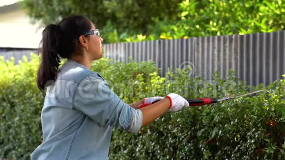 西班牙裔妇女在院子里用树篱剪树视频的预览图