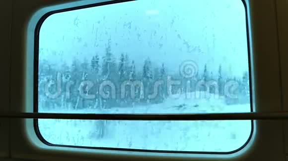 通过火车窗口观看冬季森林无缝回路视频的预览图