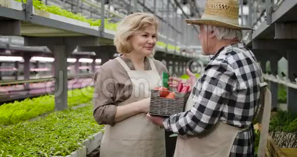 积极的白人妇女听着成熟的园丁戴着草帽从篮子里拿出一个西红柿高级男性视频的预览图