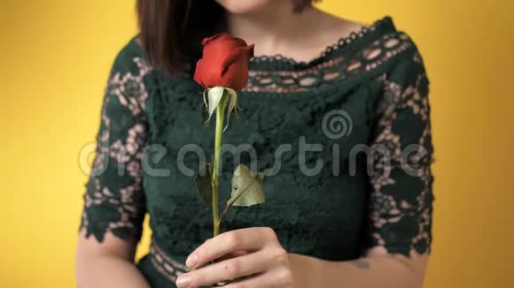 红玫瑰的女孩若有所思地嗅着黄色背景下美丽的花朵2月14日情人节生日视频的预览图