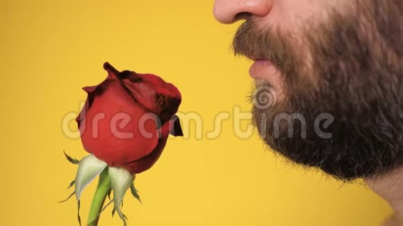 胡须男嗅着美丽的红玫瑰花情人节2月14日第一次约会的概念慢动作并关闭视频的预览图