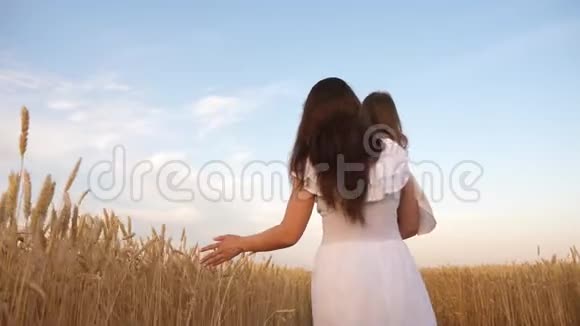 妈妈和小女儿在一片成熟的麦地上玩耍用手摸着麦穗妈妈和孩子一起散步视频的预览图