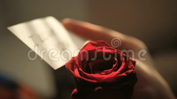 我爱你在日落的时候在红玫瑰的背景下用女性的手2月14日情人节生日视频的预览图