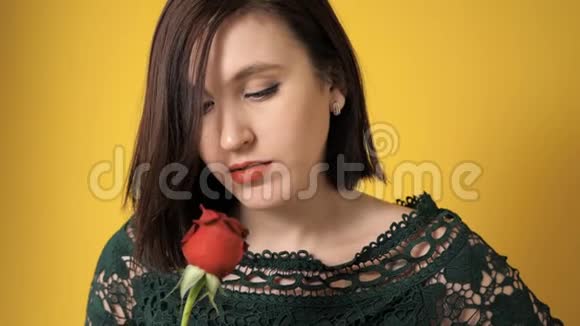 一个红玫瑰花的女孩正凝视着黄色的背巾上的花朵2月14日情人节生日视频的预览图