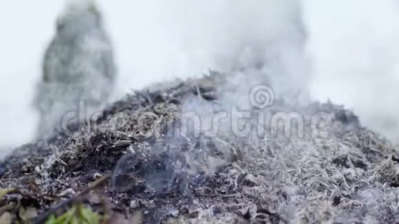 燃烧的火从灰烬中冒出的烟视频的预览图