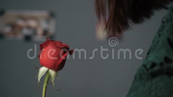 红玫瑰的女孩若有所思地嗅着美丽的花朵情人节二月十四日生日周年纪念日第一次约会视频的预览图
