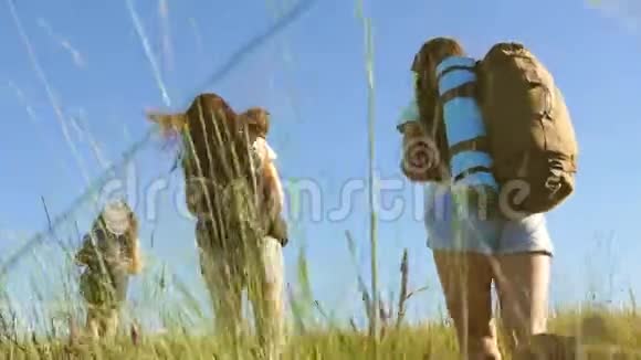 免费的妇女和女孩在高山草甸旅行团队旅行者旅行者带着背包穿过草地妈妈和视频的预览图