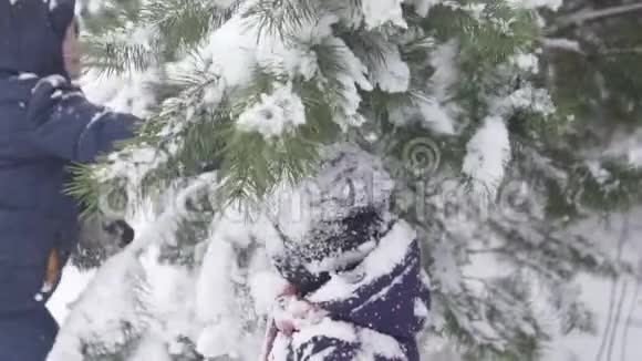 这个男孩会在小妹妹身上的圣诞树上唱很多雪视频的预览图