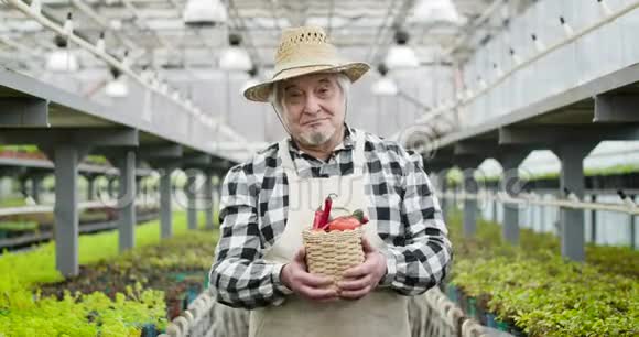 满意的成熟白人男子戴着草帽微笑和伸展篮子与蔬菜相机自信视频的预览图