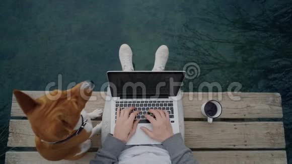自由职业者在湖边的户外工作坐在池塘里视频的预览图
