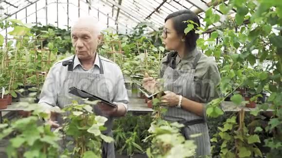 一位年长的男园丁告诉一位年轻妇女在温室里种植和照顾植物的特点视频的预览图