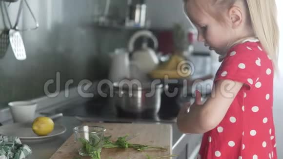 妈妈和女儿用薄荷做扁豆汤视频的预览图
