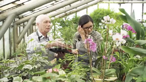 两个现代园丁看着兰花在温室里讨论他们的照顾视频的预览图