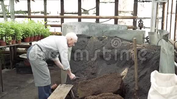 年长的男园丁在一个盆栽里捡起肥沃的土壤在温室里种植新植物视频的预览图